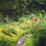 Tijd om de tuin op orde te maken